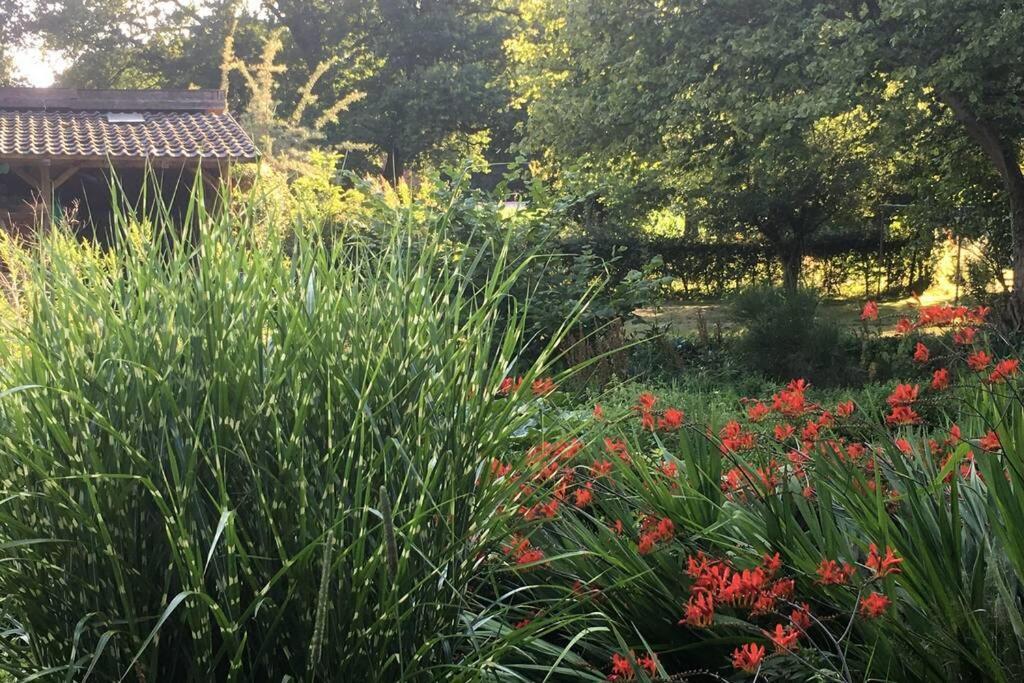 Gemütliches Nest für zwei Personen zum Ausspannen Beverstedt Exterior foto